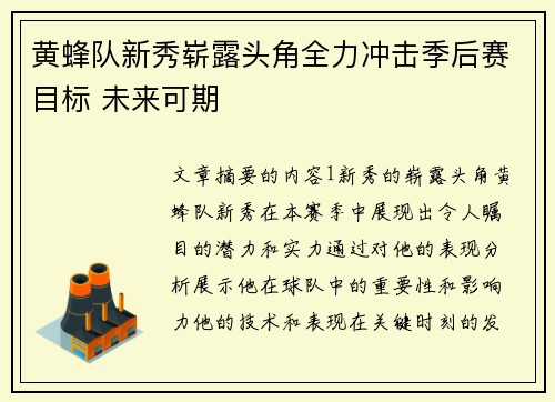 黄蜂队新秀崭露头角全力冲击季后赛目标 未来可期 黄蜂队新秀崭露头角全力冲击季后赛目标 未来可期