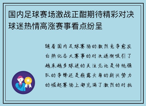 国内足球赛场激战正酣期待精彩对决球迷热情高涨赛事看点纷呈 国内足球赛场激战正酣期待精彩对决球迷热情高涨赛事看点纷呈